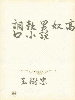 调教男奴高h重口小说