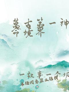 万古第一神李天命境界