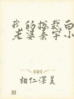 我的总裁白富美老婆秦宇小说未删版