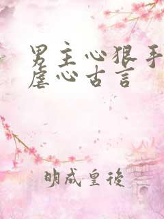 男主心狠手辣的虐心古言