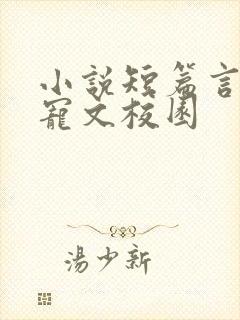 小说短篇言情甜宠文校园