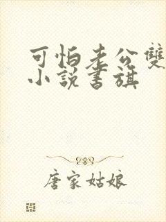 可怕老公双男主小说书旗