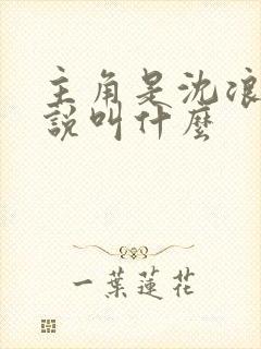 主角是沈浪的小说叫什么