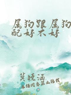 属狗跟属狗的婚配好不好