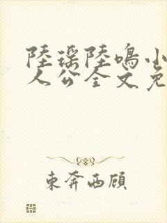 陆瑶陆鸣小说主人公全文免费阅读