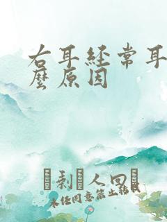 右耳经常耳鸣什么原因