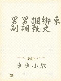 男男捆绑束缚强制调教文