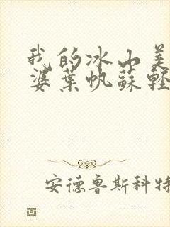 我的冰山美女老婆叶帆苏轻雪
