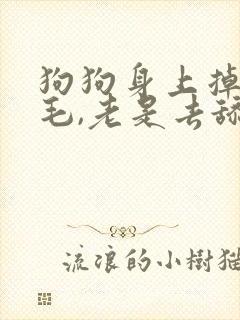 狗狗身上掉了块毛,老是去舔