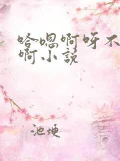 哈嗯啊呀不嗯哈啊小说