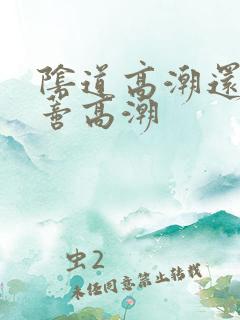 阴道高潮还是阴蒂高潮