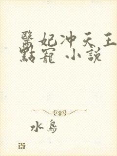 医妃冲天王爷轻点宠 小说