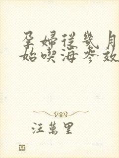 孕妇从几月份开始吃海参效果最佳