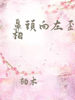 鼻头向左歪的面相