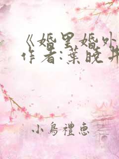 《婚里婚外》 作者:叶晓井