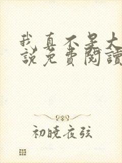 我真不是大佬小说免费阅读