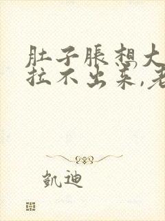 肚子胀想大便又拉不出来,老放屁