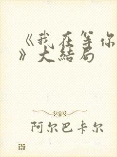 《我在等你回家》大结局