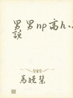 男男np高h小说