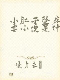 小肚子坠疼老是要小便是什么原因引起的