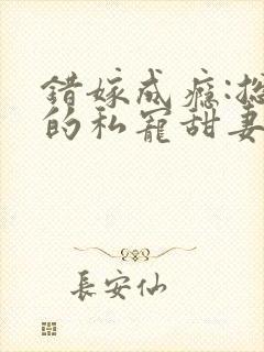 错嫁成瘾:总裁的私宠甜妻