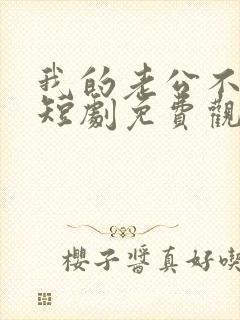 我的老公不简单短剧免费观看