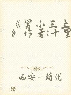 《男小三上位记》作者:十里半
