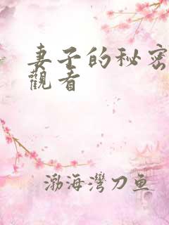 妻子的秘密免费观看