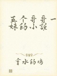 五个哥哥一个妹妹的小说