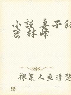 小说 妻子的秘密 林峰