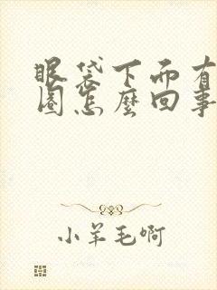 眼袋下面有黑眼圈怎么回事