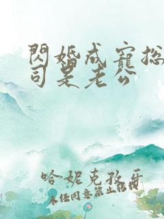 闪婚成宠总裁上司是老公