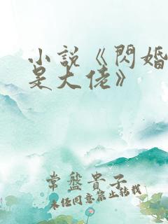 小说《闪婚老公是大佬》