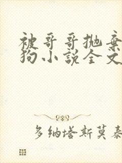 被哥哥抛弃的小狗小说全文阅读