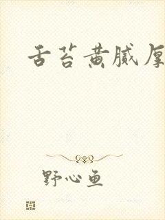 舌苔黄腻厚是引