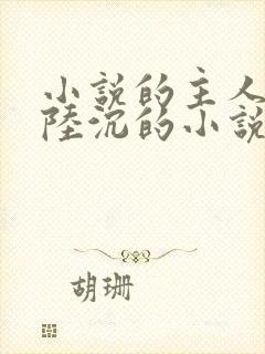 小说的主人公叫陆沉的小说