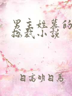 男主姓慕的所有总裁小说