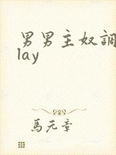 男男主奴调教play