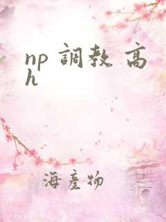 np 调教 高h