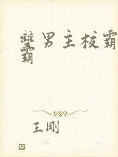 双男主校霸和学霸