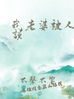 我老婆被人操小说