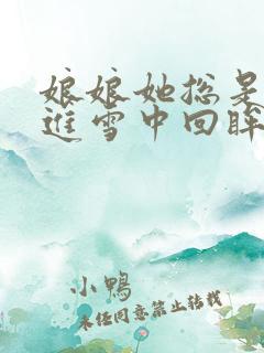 娘娘她总是不上进雪中回眸 小说