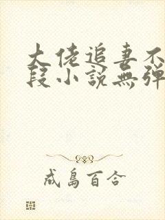 大佬追妻不择手段小说无弹窗