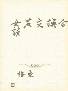 女友交换合集小说