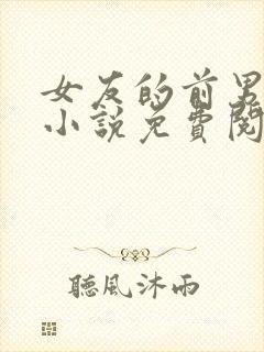 女友的前男友们小说免费阅读