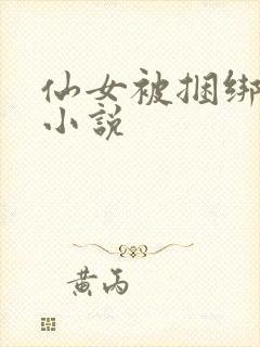 仙女被捆绑调教小说