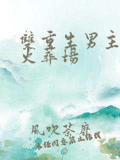 双重生男主追妻火葬场