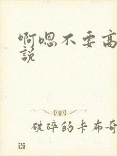 啊嗯不要高h小说