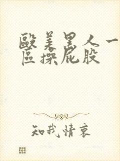 殴美黑人一区二区操屁股