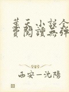 叶天小说全文免费阅读无弹窗